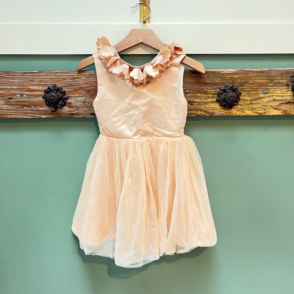 Trish Scully Child Girls Peach Petal Tulle Ballerina Party Dress Size 4